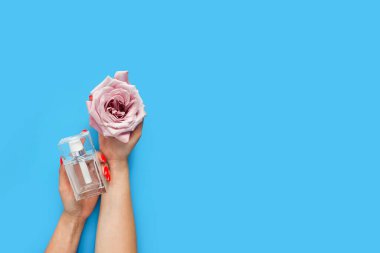 Beyaz kadın elleri, kırmızı tırnaklar, parfüm şişesi ve parlak mavi arka planda pembe gül. Moda sanatı ve güzellik düzlüğü, trans gölge. El bakımı, manikür....