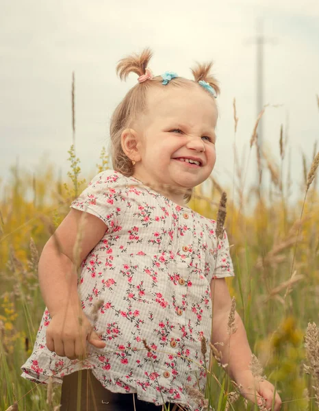 Pequena menina feliz bonita em roupas cotidianas. A sorrir num campo amarelo. Com rabos-de-cavalo na cabeça. Foto vertical. Tempo nublado. Verão . — Fotografia de Stock