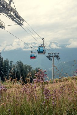Güneşli bir yaz gününde dağ yamacında turistik bir yerde. Dağ çiçekleri ön planda. Arka planda bulutlar var. Dikey fotoğraf