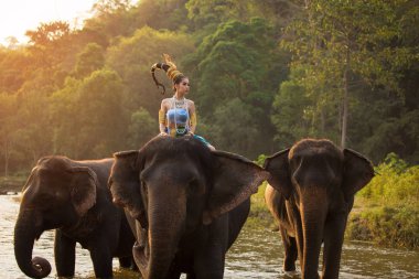 Taylandlı kadın içinde geleneksel kostüm Tayland ve fil