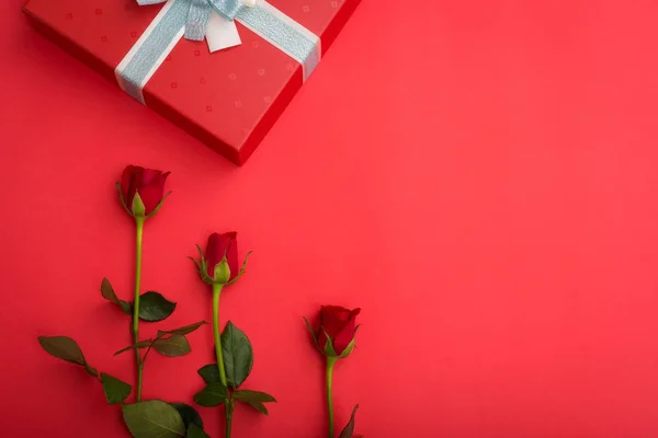 Rosa Roja Sobre Fondo Rojo San Valentín Concepto Boda — Foto de Stock