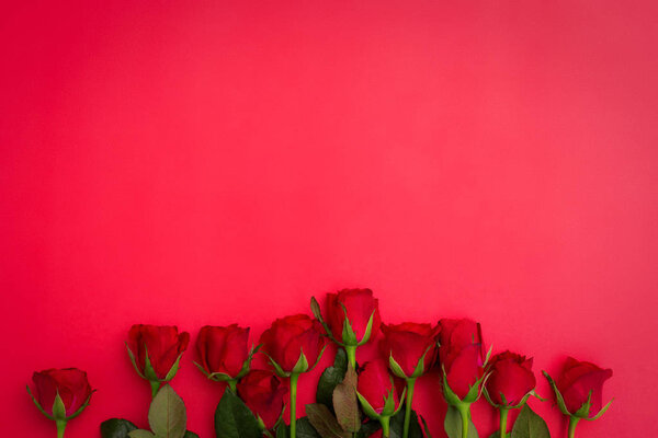Red rose on red background - Valentine day or Wedding concept