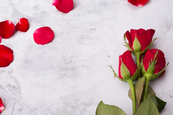 Rosa Roja Sobre Fondo Blanco San Valentín Concepto Boda — Foto de Stock