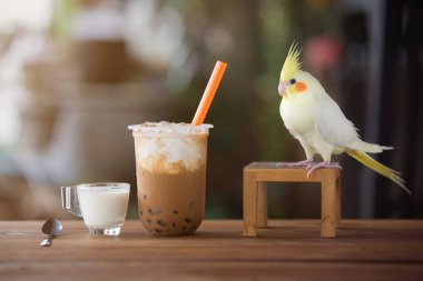 Paket cambuz kabarcık süt çayı.