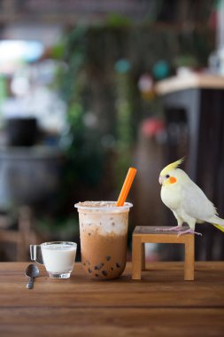 Paket cambuz kabarcık süt çayı.