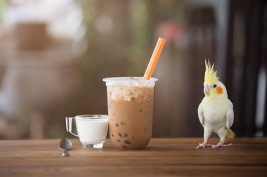 Paket cambuz kabarcık süt çayı.