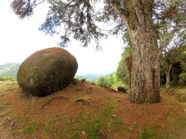 Big Stone Tree Together Mountain — Stock Photo, Image
