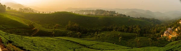 Montanhas Munnar Plantação Chá Encostas Verdes — Fotografia de Stock