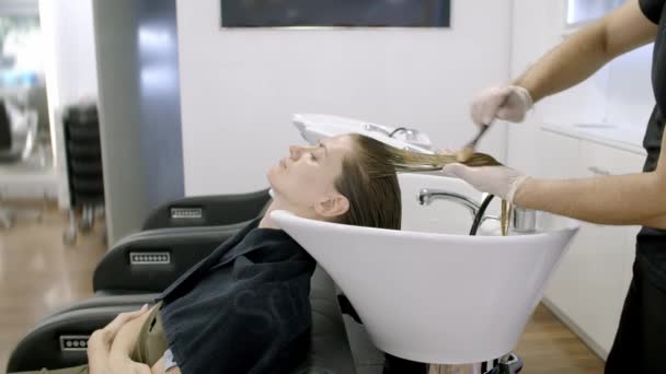 Dyes Hair Client Hairdresser — Stock Video