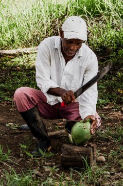 Adam hindistan cevizini palayla açıyor suyunu içmek için, lezzetli su.