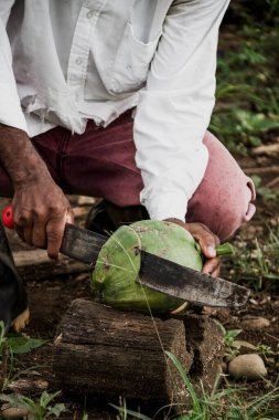 Adam hindistan cevizini palayla açıyor suyunu içmek için, lezzetli su.