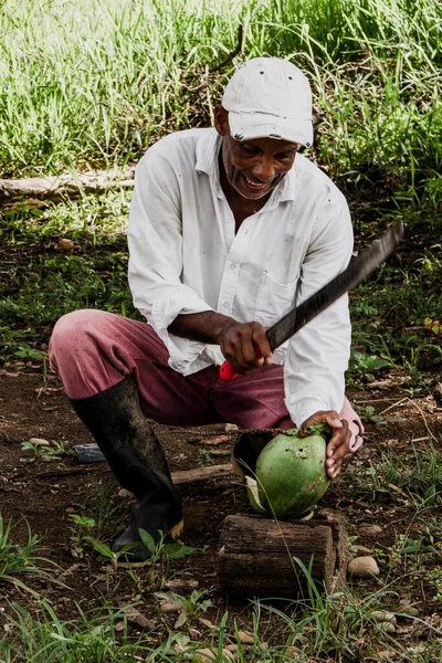 Adam hindistan cevizini palayla açıyor suyunu içmek için, lezzetli su.