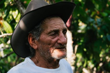 Bambu kamışı istifleme eski ahşap kirli