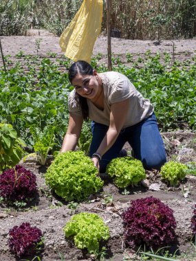 Bir kadın sebze bahçesinde salatalık, pazı, kabak ve marul gibi taze meyvelerle besleniyor. Sürdürülebilir tarımı, açık havada çalışmayı ve doğa ile olan bağlantıyı, sağlıklı beslenme, kırsal yaşam ve organik tarımı temsil ediyor..