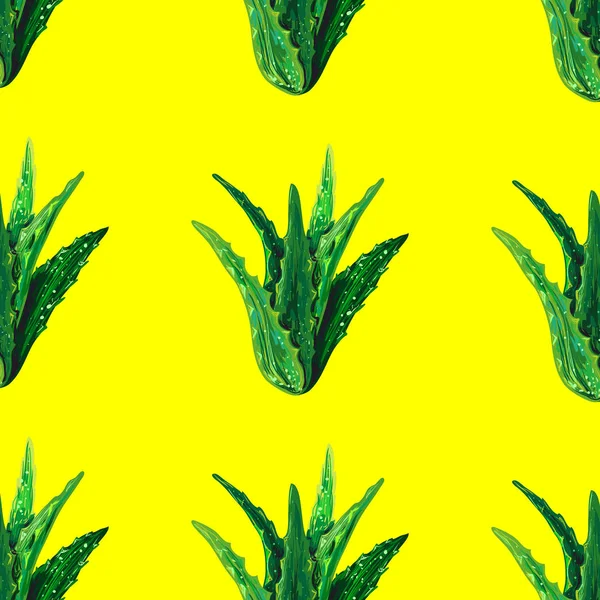 Modèle Sans Couture Avec Aloe Vera Vert Succulent Illustration Vectorielle — Image vectorielle