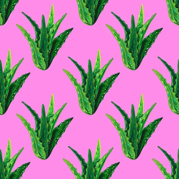 Modèle Sans Couture Avec Aloe Vera Vert Succulent Illustration Vectorielle — Image vectorielle
