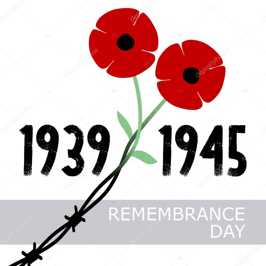 Day of Remembrance and Reconciliation. Red poppy flower commemorative symbol. World War II. Minimalism style. World War second 1939 -1945 card. Remember. Barbed wire and red flowers