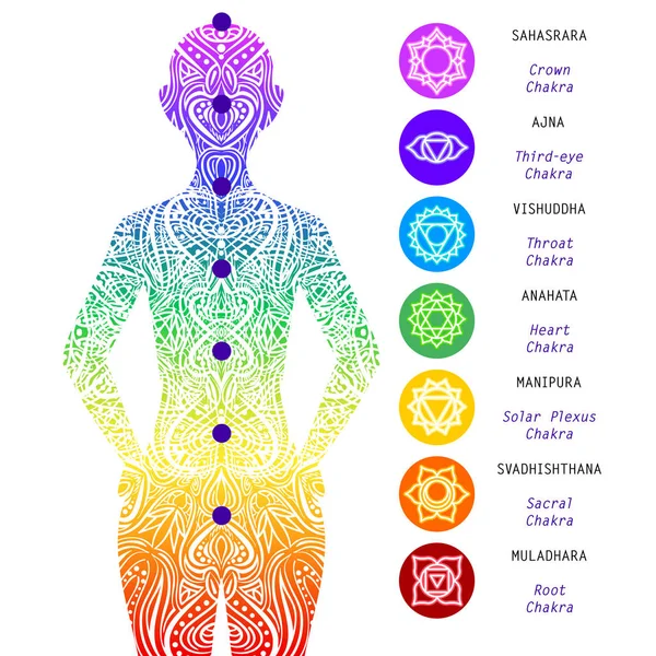 Sju chakran punkter, energi kroppen. Yoga meditation. Lokalisering av olika chakran i kroppen. Root, navel, Solar plexus, hjärta, hals, tredje ögat, krona. Grundläggande Human chakra system — Stock vektor