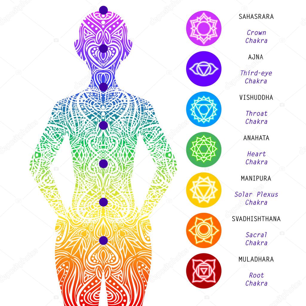 Seven chakras points, energy body. Yoga meditation. Location of different Chakras in the body. Root, Navel, Solar plexus, Heart, Throat, Third eye, Crown. Basic human chakra system