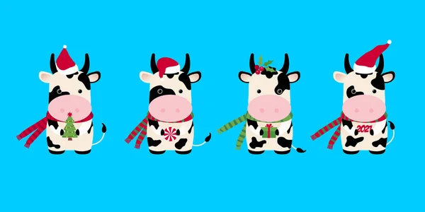 Vaca Set Navidad Signo Horóscopo Buey Año Chino Del Buey — Archivo Imágenes Vectoriales