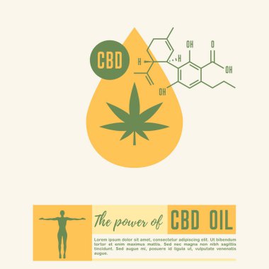 CBD yağ damlası vektör çizimi. Kenevir ikonu. Marihuananın tıbbi kullanımı. Organik kenevir. Damlacık kenevir, kenevir yağı. Marihuana yaprağı ve kenevir yağı. CBD yağ keneviri özü