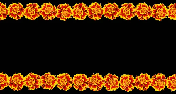 Karangan Bunga Marigold Hari Orang Mati Halloween Karangan Bunga India - Stok Vektor