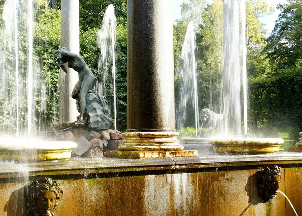 夏の公園の噴水 Petergof Russia — ストック写真