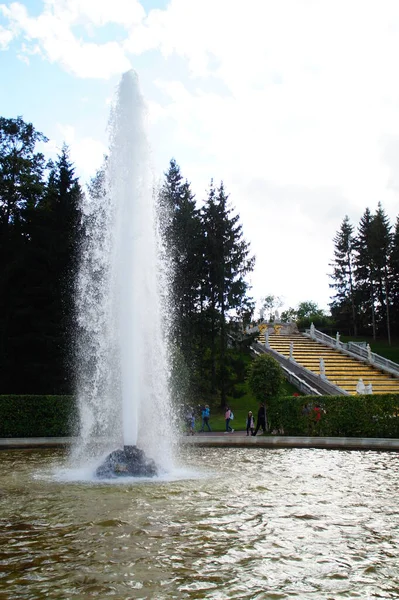 夏の公園の噴水 Petergof Russia — ストック写真