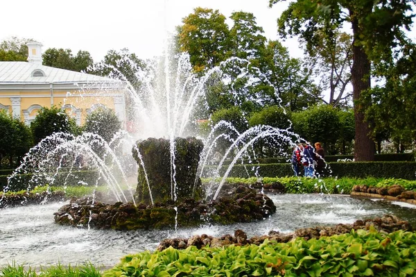 夏の公園の噴水 Petergof Russia — ストック写真