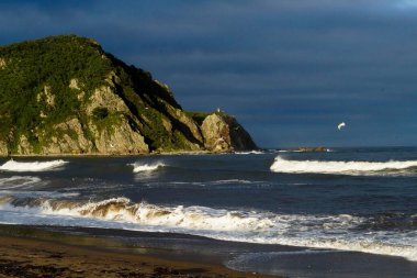 Deniz kıyısında köpüklü dalgalar.