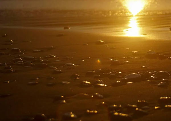 Sulla Riva Del Mare Pietre Bagnate Nel Bagliore Del Sole — Foto Stock