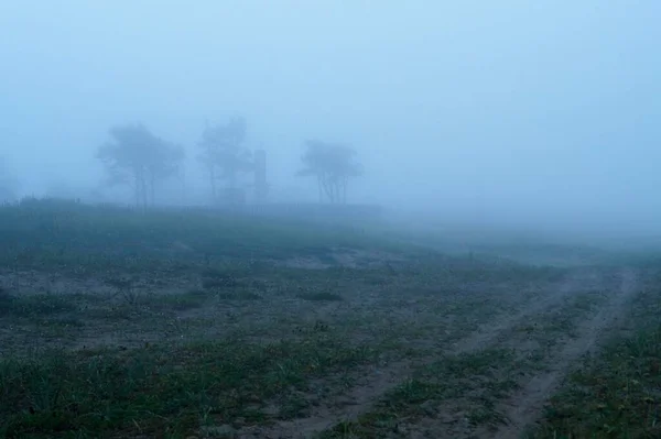 Camino Campo Una Espesa Niebla Azul —  Fotos de Stock