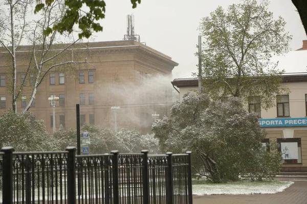 Daugavpils Latvia Maio 2020 Dia Nevado Maio Daugavpils Letónia — Fotografia de Stock