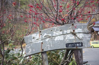 Kaplıca, Placard, Japonya, Asya,