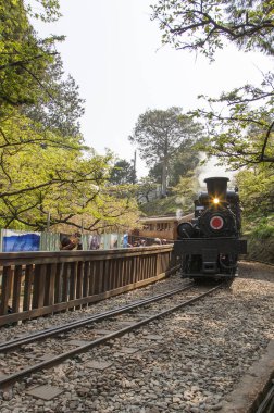 Eski kafalı tren alişan, Chiayi, Tayvan