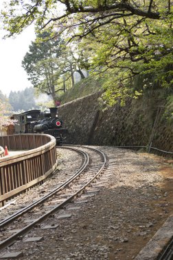 Eski kafalı tren alişan, Chiayi, Tayvan