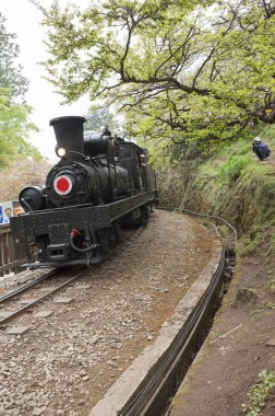 Eski kafalı tren alişan, Chiayi, Tayvan