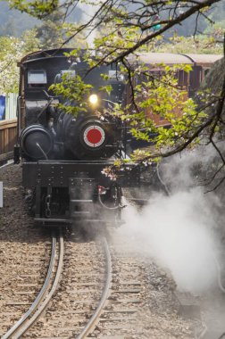 Eski kafalı tren alişan, Chiayi, Tayvan