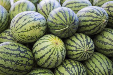  Karpuz meyveleri Arka planda hasat,yakın