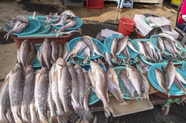 Balık, Busan, Korea, Asya,