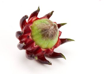 Roselle çiçek arka plan üzerinde Kapat