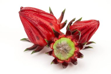 Roselle çiçek arka plan üzerinde Kapat