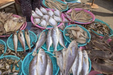 Balık, Busan, Korea, Asya,