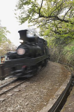 Eski kafalı tren alişan, Chiayi, Tayvan