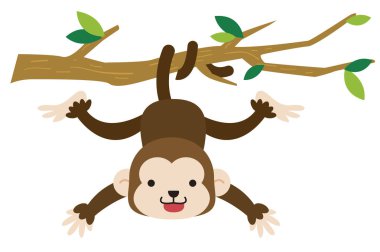 Maymun, Beyaz arka plan üzerinde İllüstrasyon Monkey