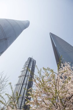 güzel çiçekler ve Shanghai, Asya ofis binaları 