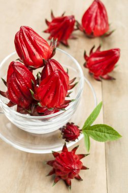 Roselle çiçek ve arka plan, bardakta kapat