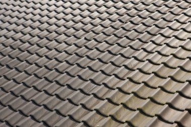 Alishan Manzara Alanı Çatı, Alişan, Chiayi, Tayvan