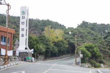 Busan, Korea, Taejongdae yolda,