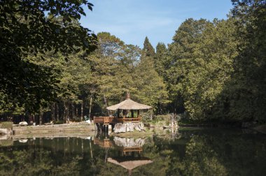 Alişan manzara alan, ormanla göl görünümünü arka plan üzerinde